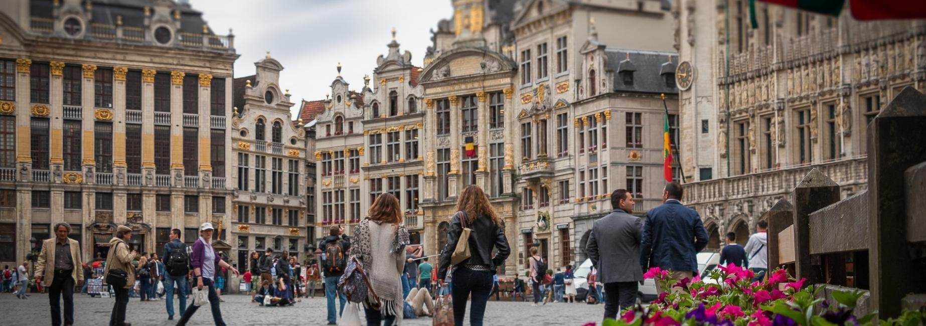 brussels plp header slk